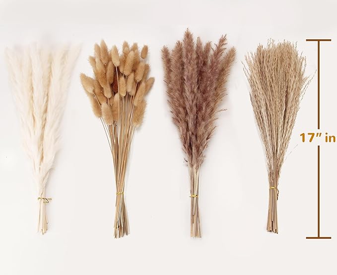 Dried Pampas Grass Decor, 100 Stems Pampas Grass Contains Bunny Tails Dried - Image 2