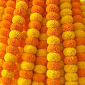 Marigold Garlands for Decorations Pack of 5 by Hashcart