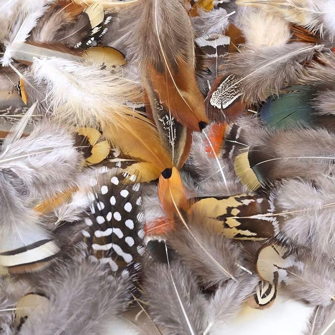 360pcs 12 Styled Natural Feathers Assorted Mixed Feathers - Image 2