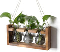 Plant Propagation Station Plant Terrarium Unique Birthday Gifts by Unknown