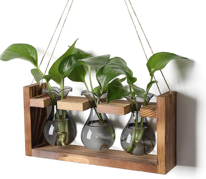 Plant Propagation Station Plant Terrarium Unique Birthday Gifts by Unknown