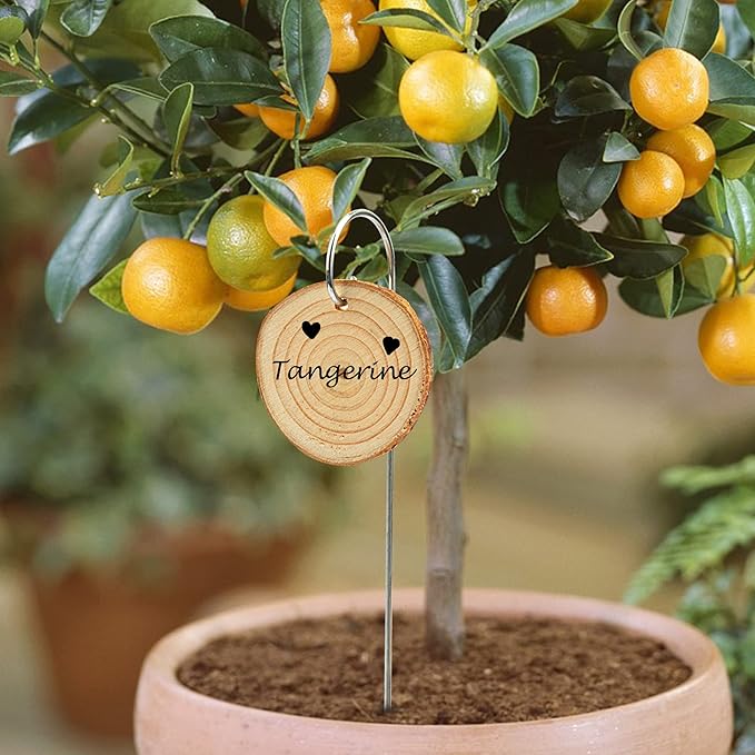 Temlum Wooden Plant Labels - Image 6