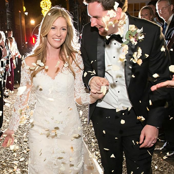 CODE FLORIST 1100 PCS White Silk Rose Petals - Image 4