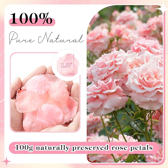 380 Pieces Real Light Pink Rose Petals Dried Rose Flower Petals - Image 2