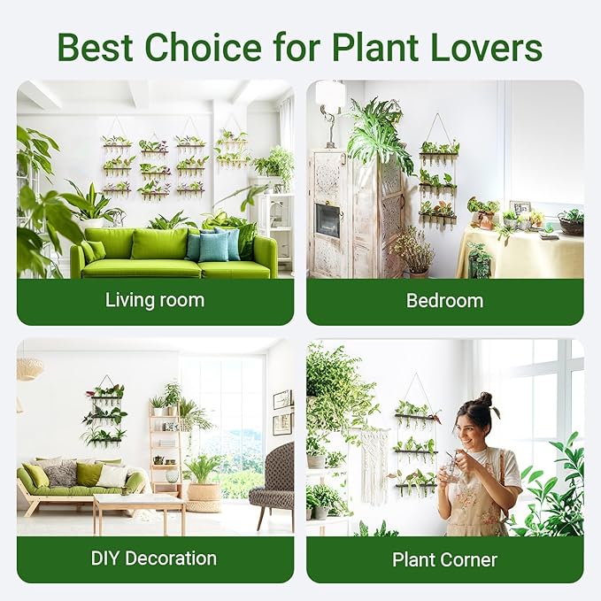 Ivolador Hanging Plant Propagation Tubes, 3 Tiered Wall Hanging Terrarium - Image 7