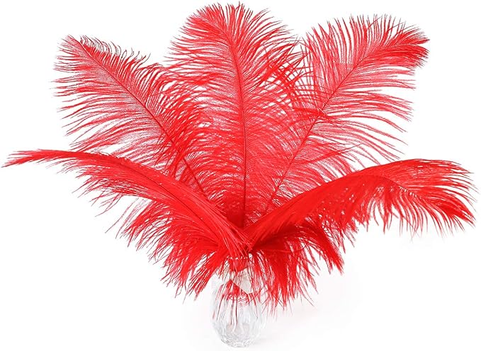 12pcs Natural Bright Red Ostrich Feathers 12-14inch by Ballinger