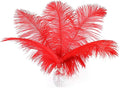 24pcs Natural Bright Red Ostrich Feathers 10-12inch by Ballinger