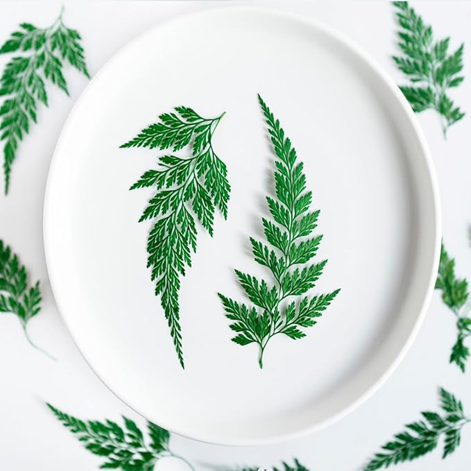 48 Pcs Dried Pressed Flowers Leaves Ferns - Image 2