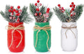 CNVOILA Christmas Centerpiece 3PC Set: Mason Jars, Table Decorations, Home & by CNVOILA