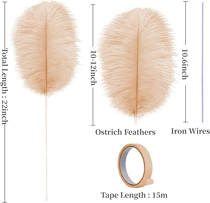 Holmgren Champagne Large Ostrich Feathers - Image 3