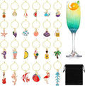 SANNIX 24pcs Wine Glass Charms by SANNIX