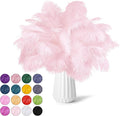 NEWONG 30pcs Light Pink Ostrich Feathers Natural Bulk 9-12inch Vase Craft by NEWONG