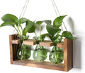 Plant Propagation Station Plant Terrarium Unique Birthday Gifts by Unknown