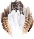 MAOFENG 20pcs Natural Pheasant Feathers Bulk 5 Styles Mixed Feathers Spotted by MAOFENGFEATHER