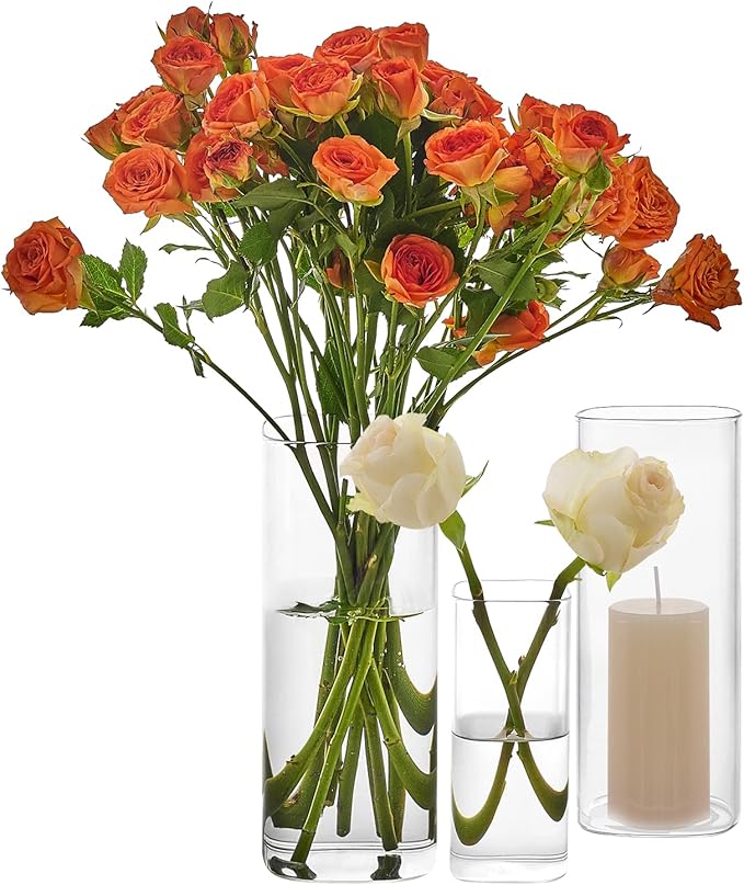 3 PCS Modern Square Glass Cylinder Vases Set – Elegant Bud Vases, Floating by Unknown