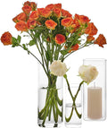 3 PCS Modern Square Glass Cylinder Vases Set – Elegant Bud Vases, Floating by Unknown