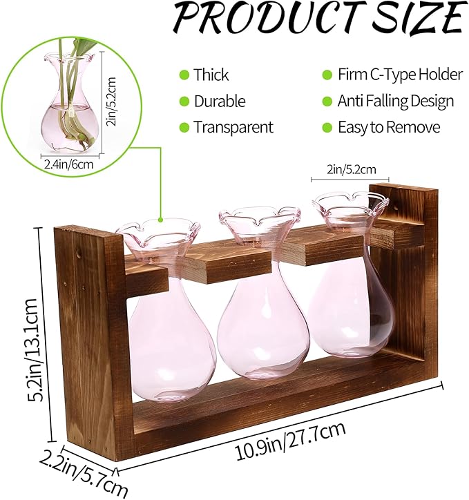 Plant Propagation Station Plant Terrarium Unique Birthday Gifts - Image 3