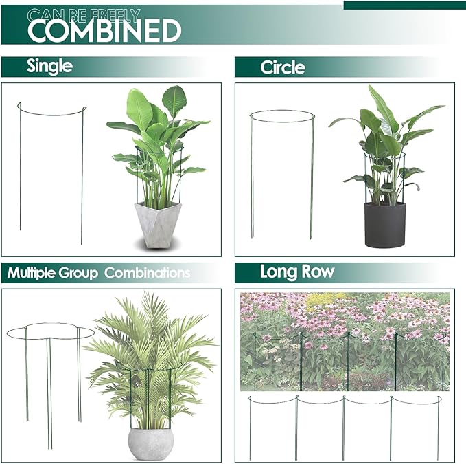 6 Pack 30 inch Plant Support Stakes, Heavy-Duty Half Round Peony Support - Image 4