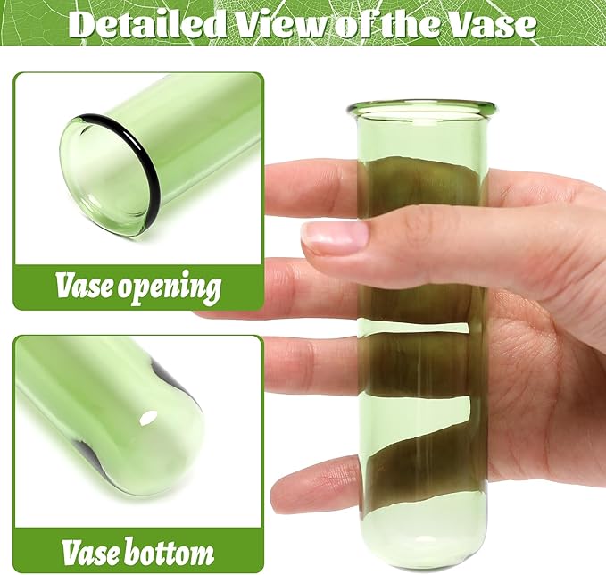 Glass Plant Propagation Station - Image 3