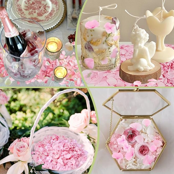 1500Pcs Real Hydrangea Pink Dried Flower Petals - Image 7