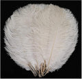 YAKRUNA 30PCS White Ostrich Feathers by YAKRUNA
