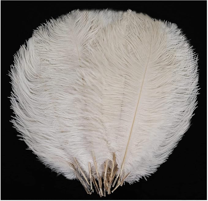 YAKRUNA 30PCS White Ostrich Feathers by YAKRUNA