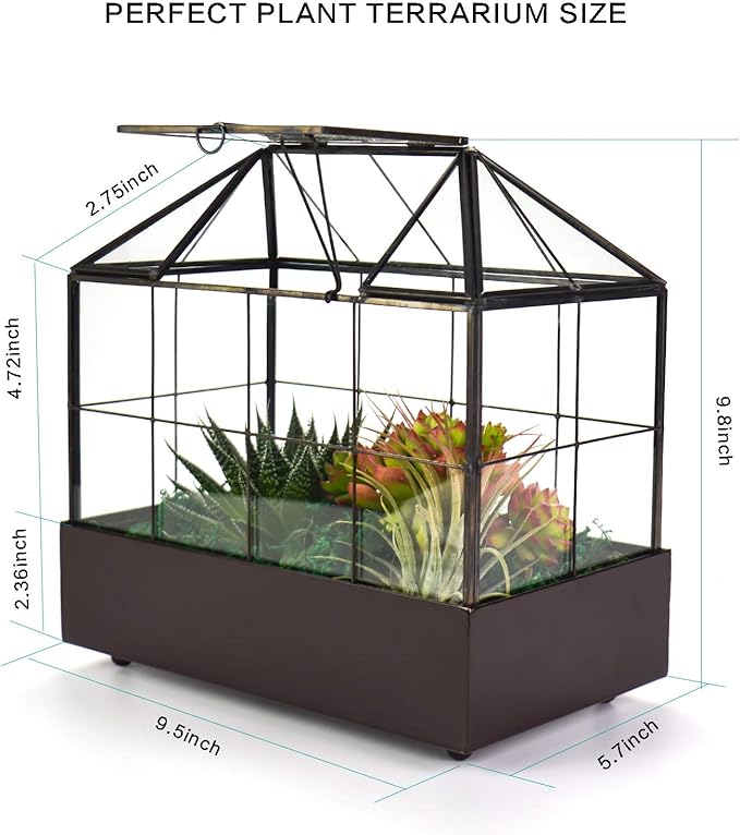 Large Tall Plant Terrarium Glass Greenhouse - Image 5