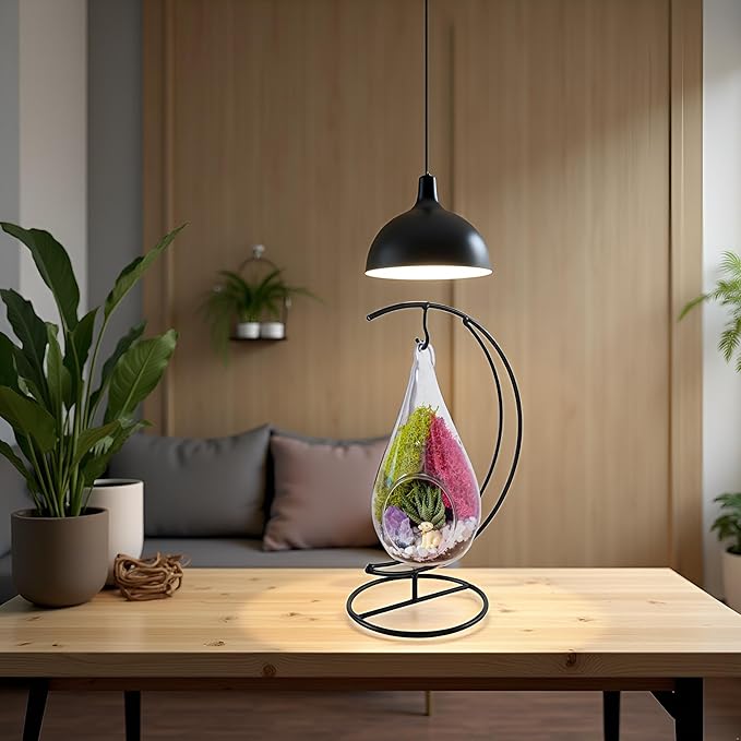 7" DIY Teardrop Terrarium Kit - Image 6