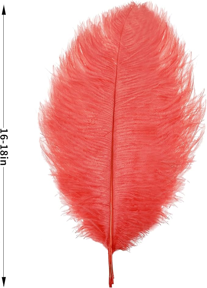 Larryhot Red Large Ostrich Feathers - Image 4