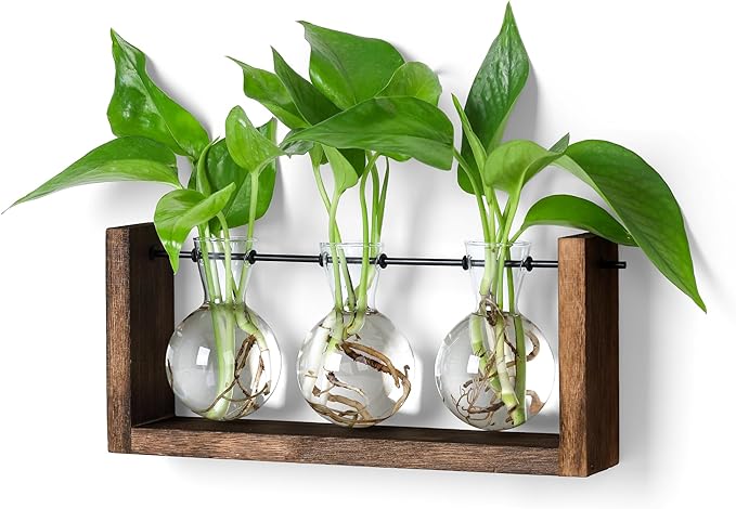 YIBOT Plants Propagation Stations, Plant Terrarium by YIBOT