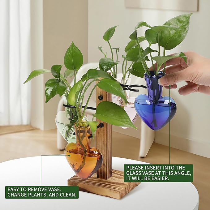 Plants Propagation Stations Plant Terrarium Kit Glass Planters - Image 3