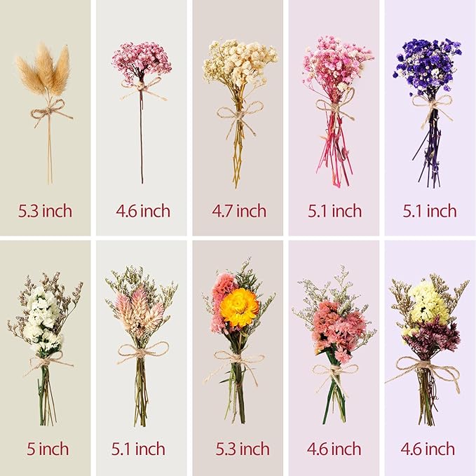 10/12/24/36 Pack Mini Dried Flowers - Image 2
