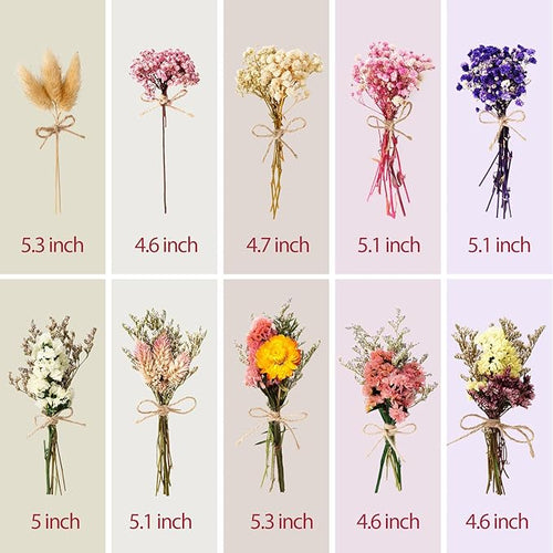 10/12/24/36 Pack Mini Dried Flowers - Image 2
