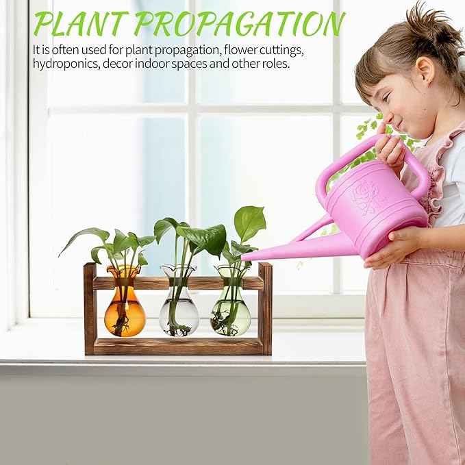 Plant Propagation Station Plant Terrarium Unique Birthday Gifts - Image 4