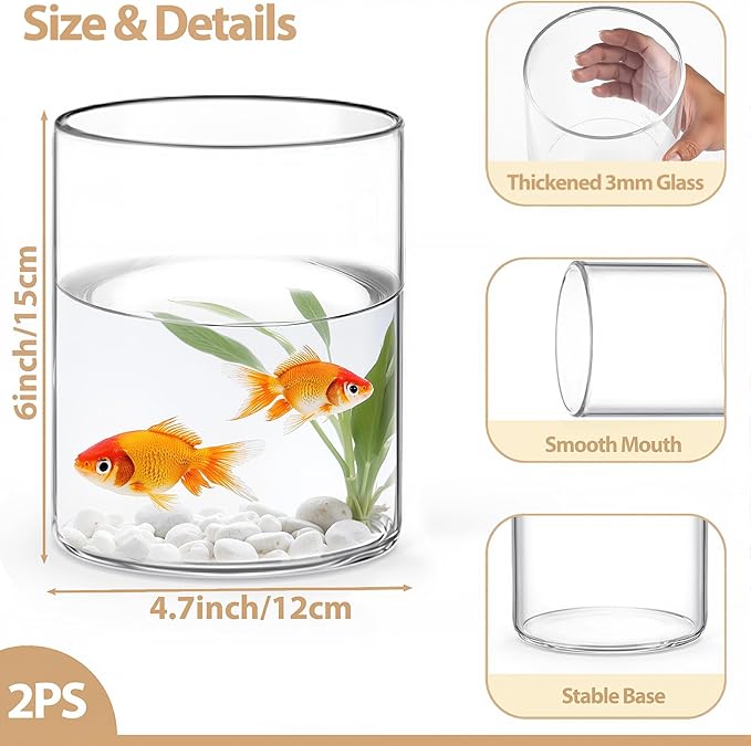 2Pcs Glass Cylinder Vases for Centerpieces - Image 2