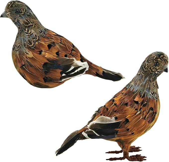 naturevibe 7.5 Inches Feathered Quail Set of 2 Fall Decorations, Artificial by Unknown