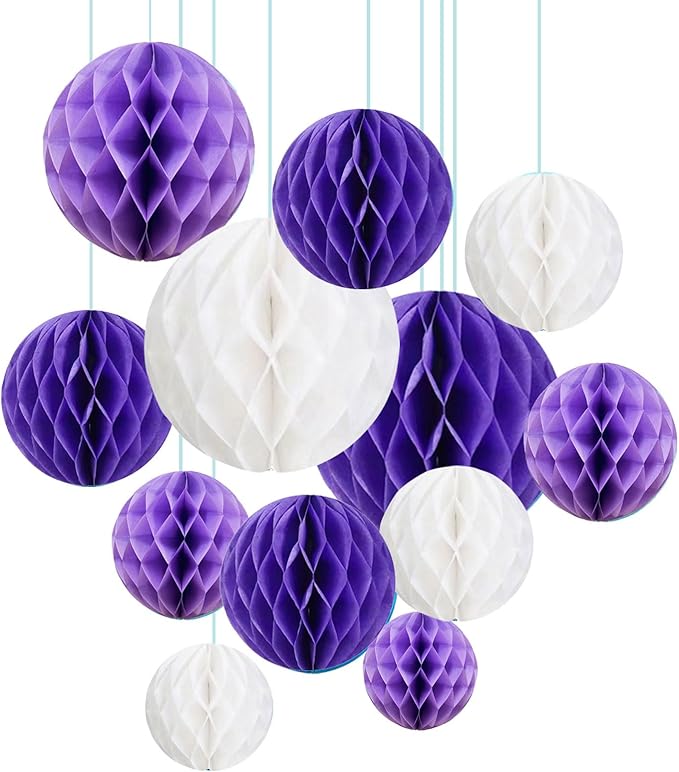 ZOOYOO 12Pcs 6" 10" Honeycomb Balls Decorations Hanging Tissue Paper Pom Poms by ZOOYOO