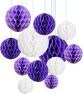 ZOOYOO 12Pcs 6" 10" Honeycomb Balls Decorations Hanging Tissue Paper Pom Poms by ZOOYOO