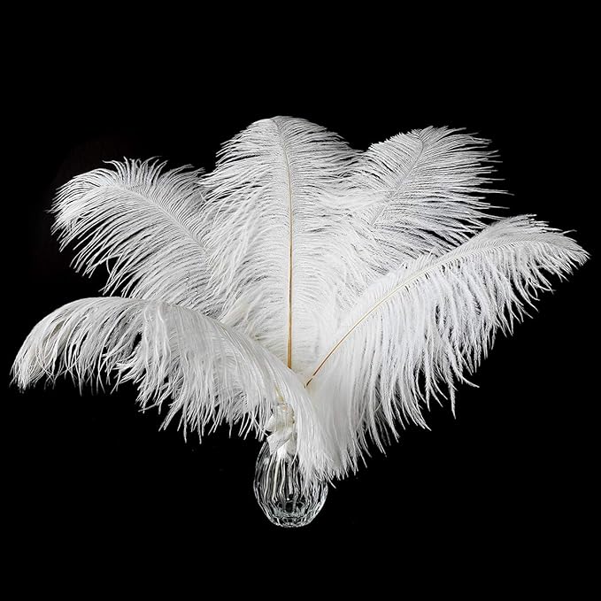 12pcs Natural White Ostrich Feathers 12-14inch - Image 9