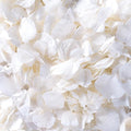 4500Pcs Ivory White Dried Hydrangea Flower Petals by Gifugi