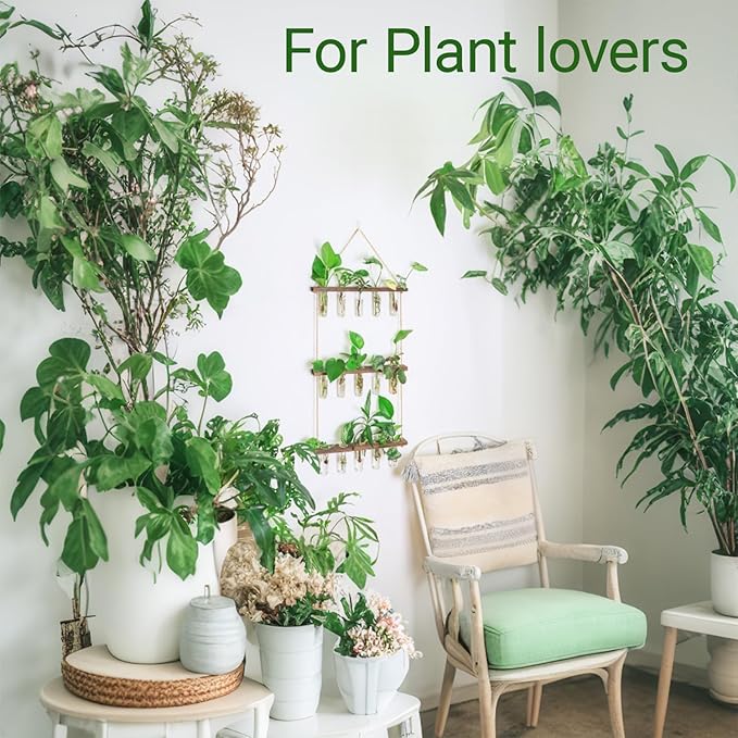 Ivolador Hanging Plant Propagation Tubes, 3 Tiered Wall Hanging Terrarium - Image 3