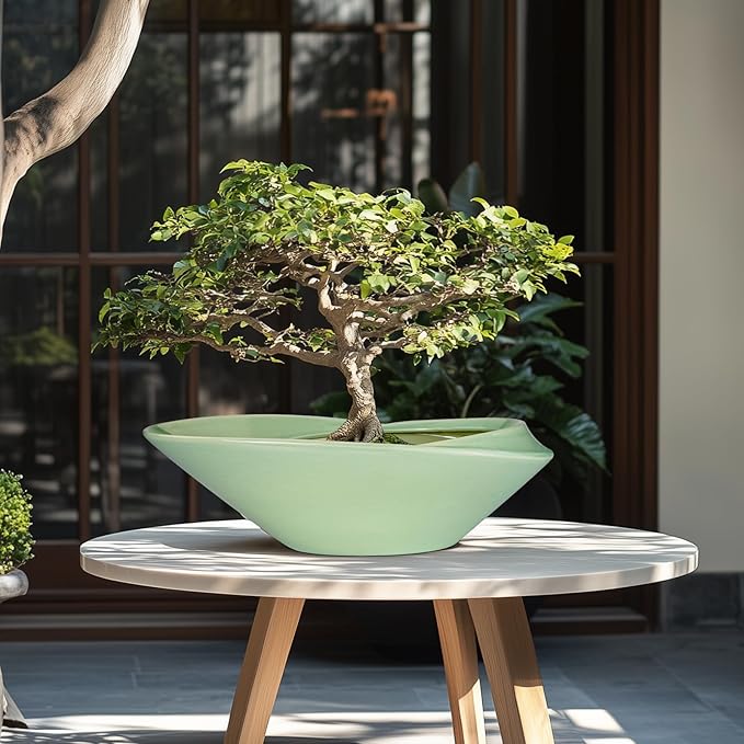 Ceramic Bonsai Pot - Image 2