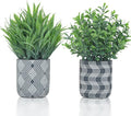 2 Pack Small Fake Plants, Fake Grass Plant, Artificial Boxwood by Unknown
