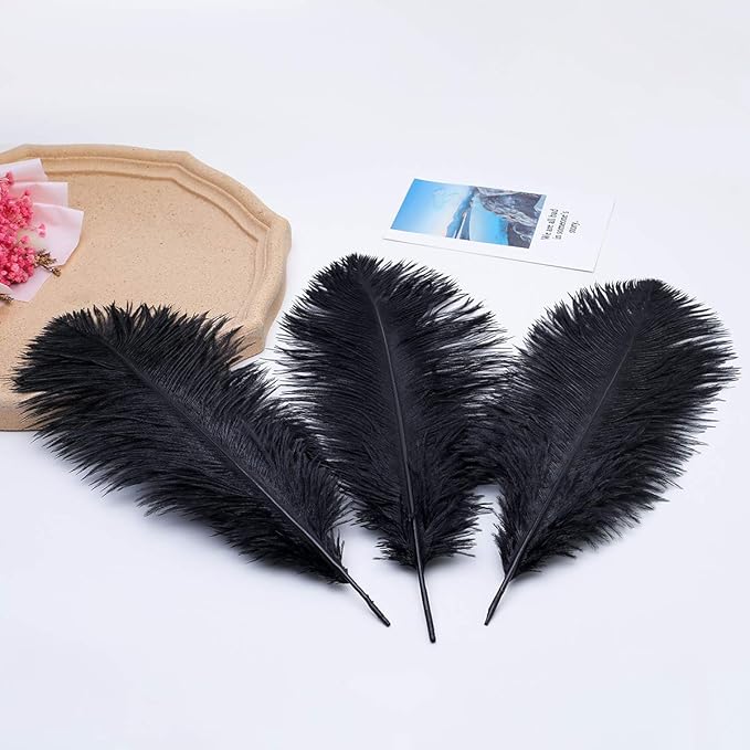 Ballinger Black Ostrich Feathers Bulk - Image 9