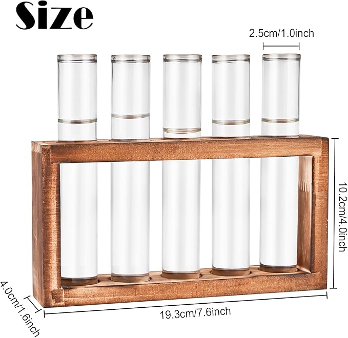 Desktop Glass Plant Propagation Station - Image 2