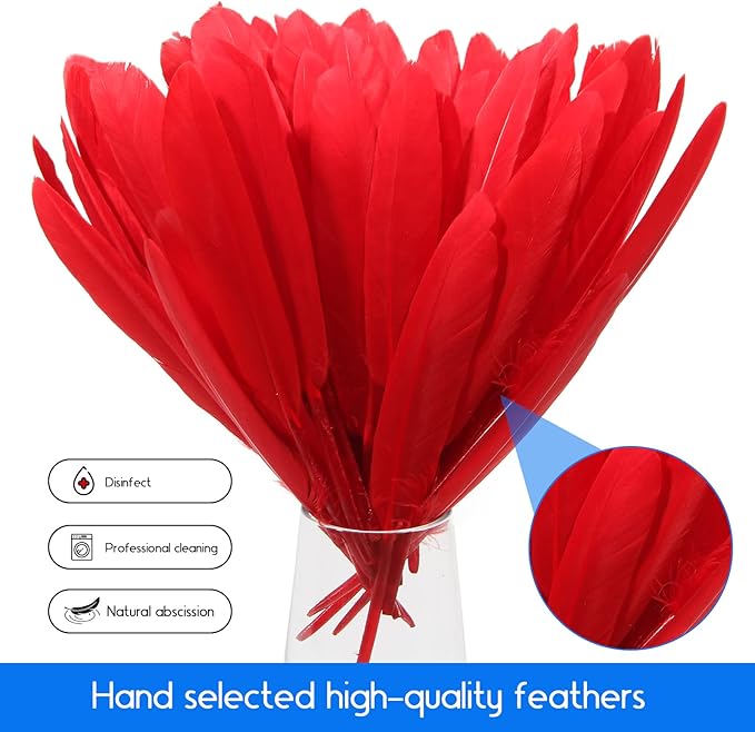 FeelfunFeather 120pcs Red Goose Cochettes Feather Natural Bulk 4-6 inch 10-15cm - Image 6