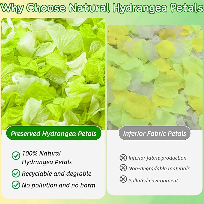 Real Dried Hydrangea Flower Petals -1.06Oz Real Natural Preserved Petals - Image 6