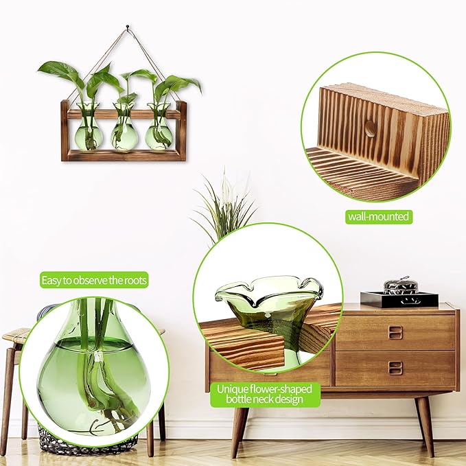Plant Propagation Station Plant Terrarium Unique Birthday Gifts - Image 2