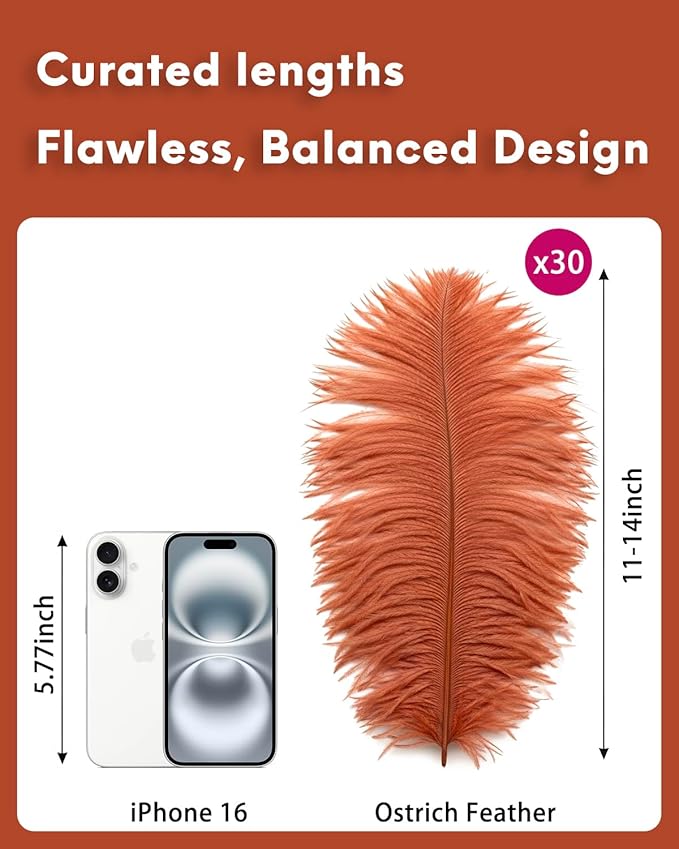 NEWONG 30pcs Brown Ostrich Feathers Natural Bulk 11-14inch Vase Craft Wedding - Image 2