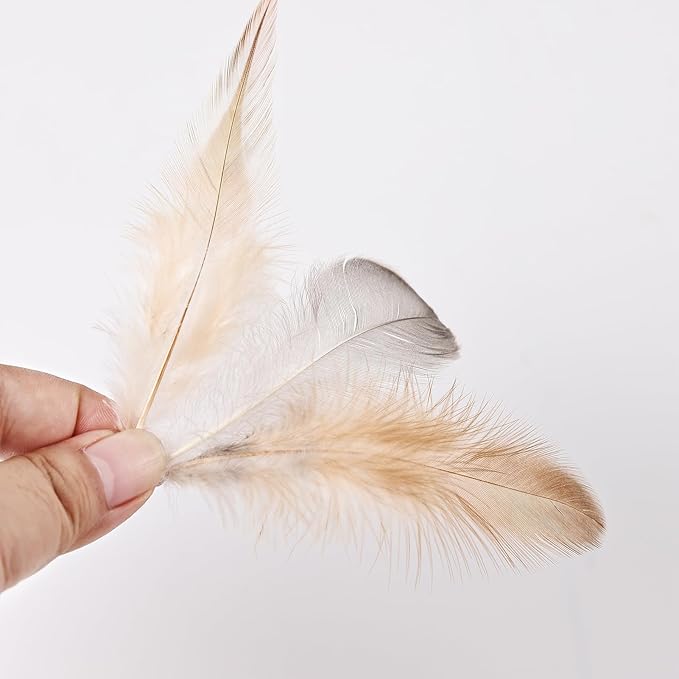 MAOFENG 270pcs 9 Styles Natural Bulk Feathers Assorted Mixed Feathers - Image 3